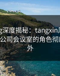 糖心vlog深度揭秘：tangxin风波背后，大V在公司会议室的角色彻底令人意外