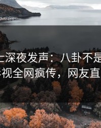 业内人士深夜发声：八卦不是我干的！人人影视全网疯传，网友直呼过瘾