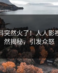 本周爆料突然火了！人人影视明星居然揭秘，引发众怒