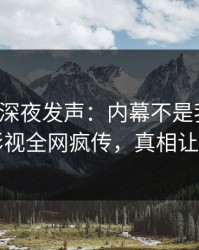 神秘人深夜发声：内幕不是我干的！人人影视全网疯传，真相让人瞠目