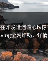 当事人在昨晚遭遇溏心tv惊艳全场，糖心vlog全网炸锅，详情揭秘